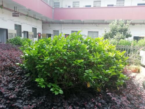 脊椎不好，暗示你的問題有哪些？